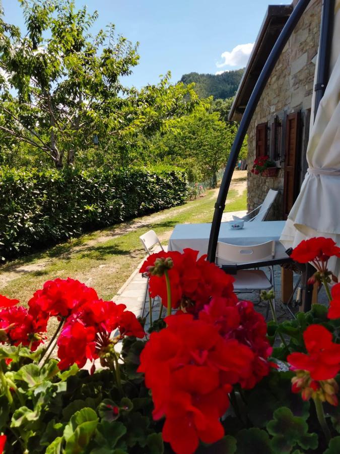 La Sala Vecchia - Lovely Tuscan Holiday House Badia Prataglia, Casentino Valley Chiusi della Verna Dış mekan fotoğraf