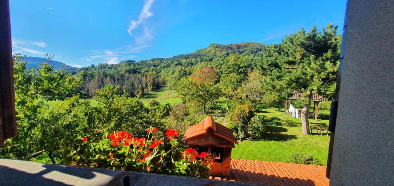 La Sala Vecchia - Lovely Tuscan Holiday House Badia Prataglia, Casentino Valley Chiusi della Verna Dış mekan fotoğraf